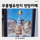 무릉 | 동해여행 무릉별유천지 전망카페 시멘트아이스크림 후기