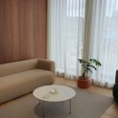카멜레온디자인주