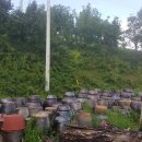 운화농장 이미지