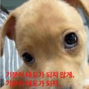 먼데 네이버블로그