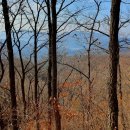 십년농장 이미지