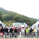 시어동 캠핑장 이미지