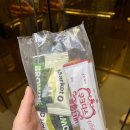 중동주유소 | 카타르 도하 사막투어 솔직후기 _ 낙타/ATV/사막 모래 썰매