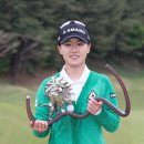 낙동투어㈜ 이미지