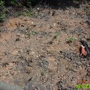 고실농장 이미지