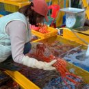 거진항(판매장) 이미지