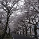 마산식당 이미지