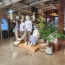 MUJI 강남 / 무지무인양품 구경했어요! 그릇, 의류 제품 소개 !