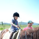 20160625 강화도 자연체험농장에 다녀왔습니다. with 바이엘코리아 사랑나눔 이미지