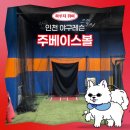 (주)퀘스타정보기술 | 인천야구레슨 주베이스볼 | 친구와 함께한 이색체험 솔직후기