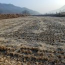 자담농장 이미지