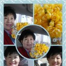 성보나어린이집 이미지