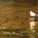 광주공항 관광안내소 이미지