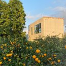 상효동-1 이미지