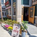 [논산] 금성다방 주변 시간 여행! ☕ 드라마 속 그곳!