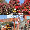 플로어가든01 | 제주 겨울여행 가볼만한곳, 파더스가든 귤따기·동물먹이주기 체험 후기