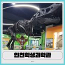 영종대로277번길 이미지