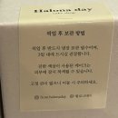 할로나데이 이미지