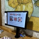 돼지랑돌이랑