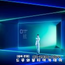 와이즈레이션