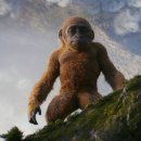 고질라×콩 뉴엠파이어 이미지