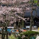 죽림5로 이미지