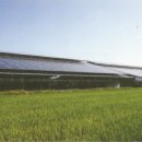 대명축사 이미지