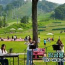 (주) 휘닉스미디어