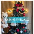 성남대로1480번길 이미지