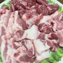 [상인동 숨겨진 맛집 / 충무아나고 참 숯불막창 솔직후기]