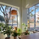 구지로L | 대구 양식 피자맛집 벨라피렌체 달성군 분위기 좋은 브런치맛집