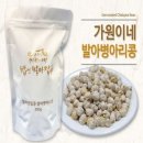 콩가원 이미지
