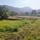 원요진농장 이미지