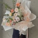 꼬모플레리 이미지