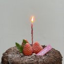 장승배기역케이크 핑크벌스데이 PINK BIRTHDAY 내돈내산 후기