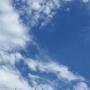 도사곡휴양림 이미지