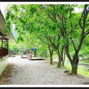 오션파크 민박 이미지