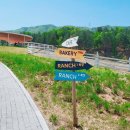 와가목장 이미지