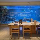 더빛광교태권도장 | 광교 데이트 장소 [수린광교] 추천! 수족관뷰 한우구이 반상세트 솔직후기