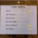 제스트엘리