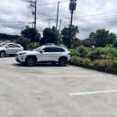 제주 살레 이미지