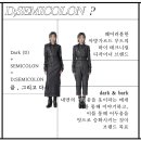 디세미콜론