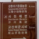 강릉아기동물농장 이미지