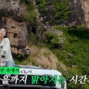 카 플렉스 이미지