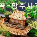 채골안 이미지