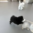 동촌유치원 | [충주요리조리유치원] 히트의 등원일기 첫등원 후기