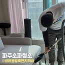 박사 | 파주 소파청소 얼룩 먼지 싹 제거! 비치움얼룩먼지박사 후기