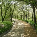 한밭수목원 서원 이미지