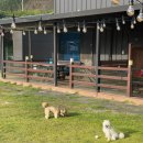 이쁘개 즐겁개 이미지