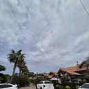 웨스티하우스 이미지